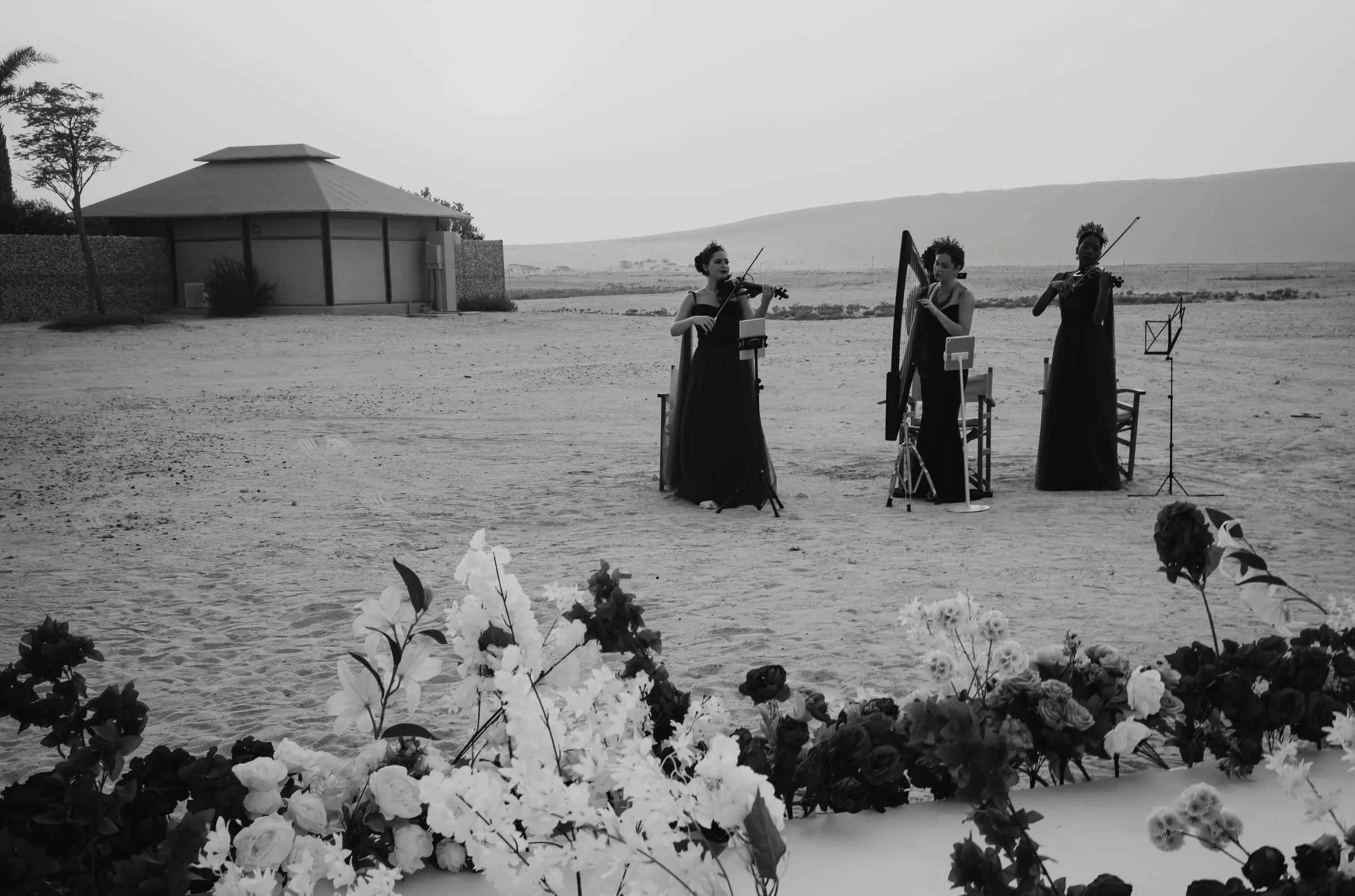 Trio of musicians playing violin and harp on the sand at dusk